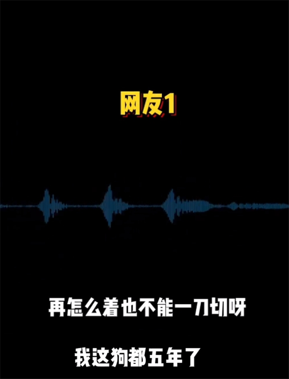 “烈性犬撕咬女童”让全网激愤，骂不拴绳没素质已经没用了