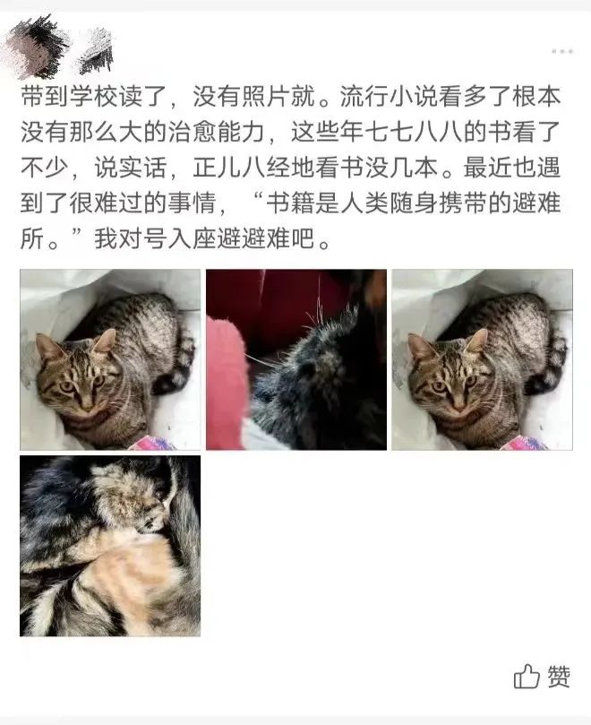 在拼多多买《民法典》的100万+人