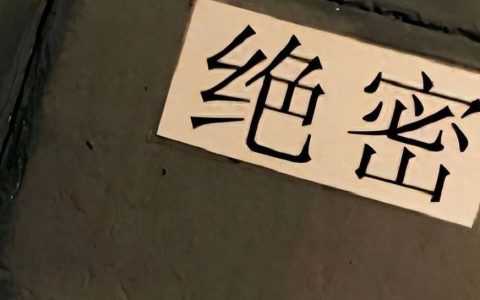 10年暗桩无法锁定，升官后被发现，牵出台湾女间谍