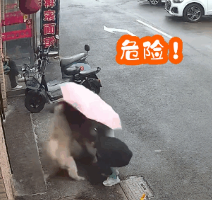 “烈性犬撕咬女童”让全网激愤，骂不拴绳没素质已经没用了