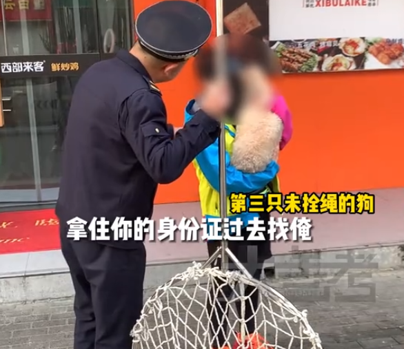 “烈性犬撕咬女童”让全网激愤，骂不拴绳没素质已经没用了
