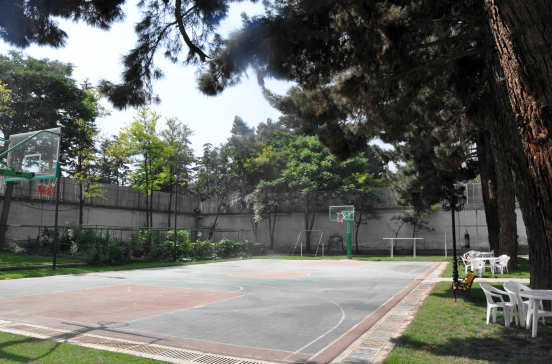 来自中国的新大使