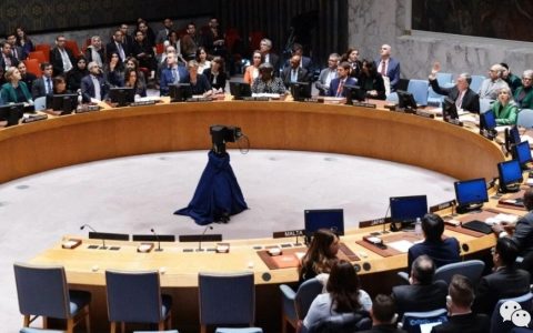 最“美”逆行者：否决在手，拱火浇油