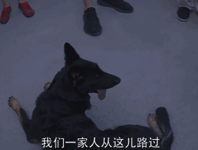 “烈性犬撕咬女童”让全网激愤，骂不拴绳没素质已经没用了