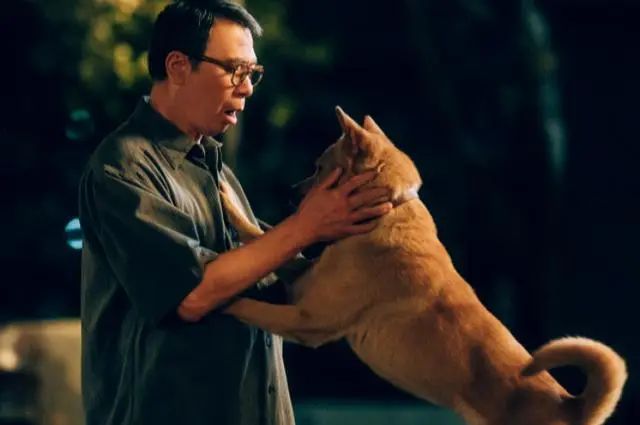 “烈性犬撕咬女童”让全网激愤，骂不拴绳没素质已经没用了