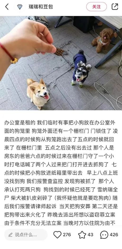 因为一条狗咬人，就要全国运动式打狗？