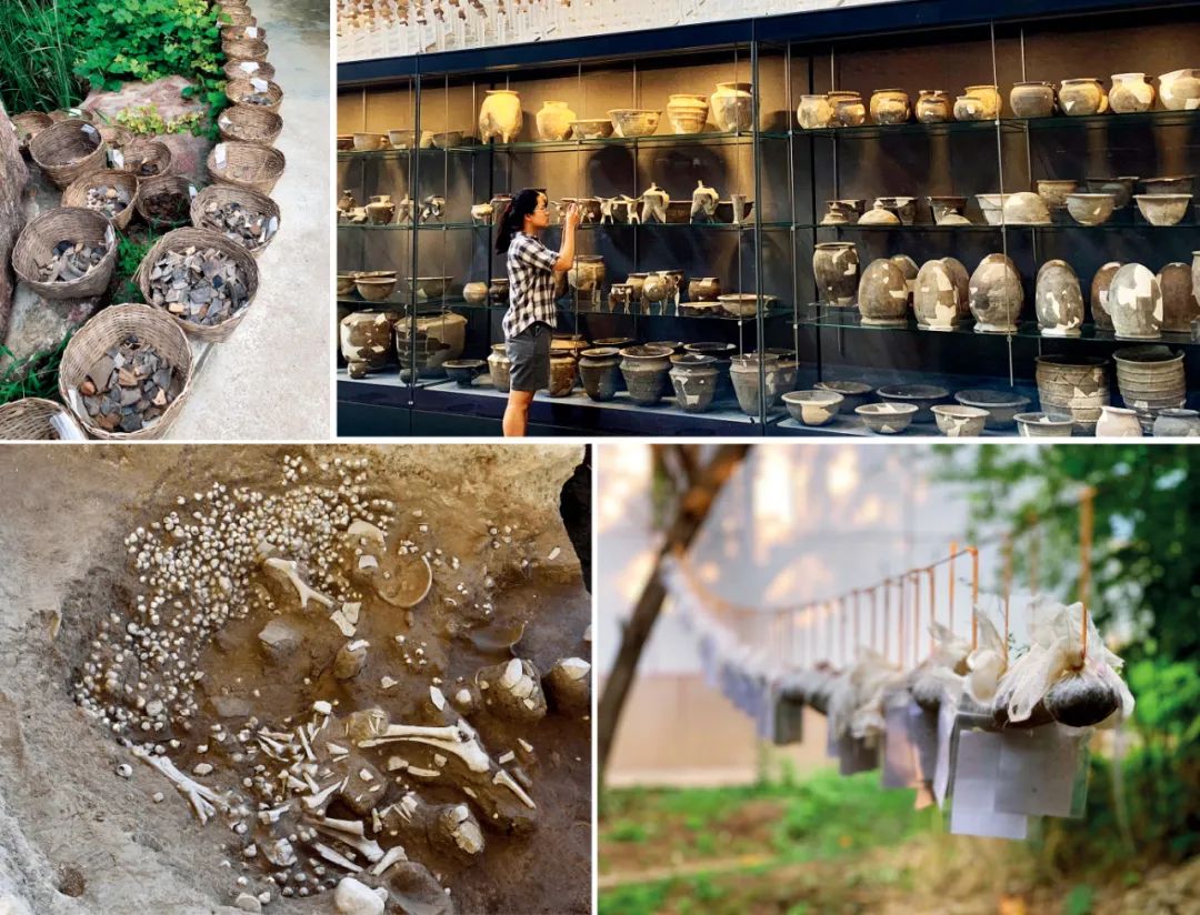 夏朝的谜底或许就在这里