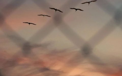 世界破碎的前一天