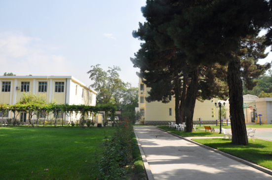 来自中国的新大使