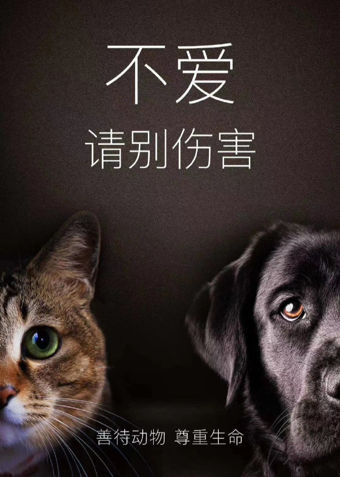 因为一条狗咬人，就要全国运动式打狗？