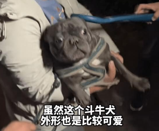 因为一条狗咬人，就要全国运动式打狗？