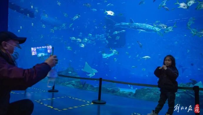 我信你个鬼！航天科工回应世界首仿鲸鲨：搞这个主要用途是观赏！