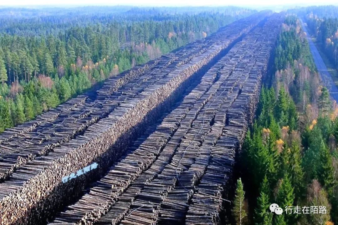 西伯利亚：砍不完的树、挖不完的矿，菜比肉贵、家家囤腌菜