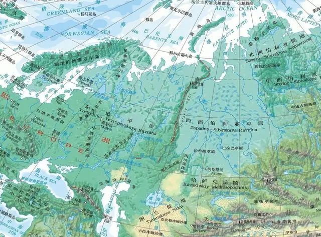 世界上面积前三大的平原：亚马孙平原、东欧平原和西西伯利亚平原