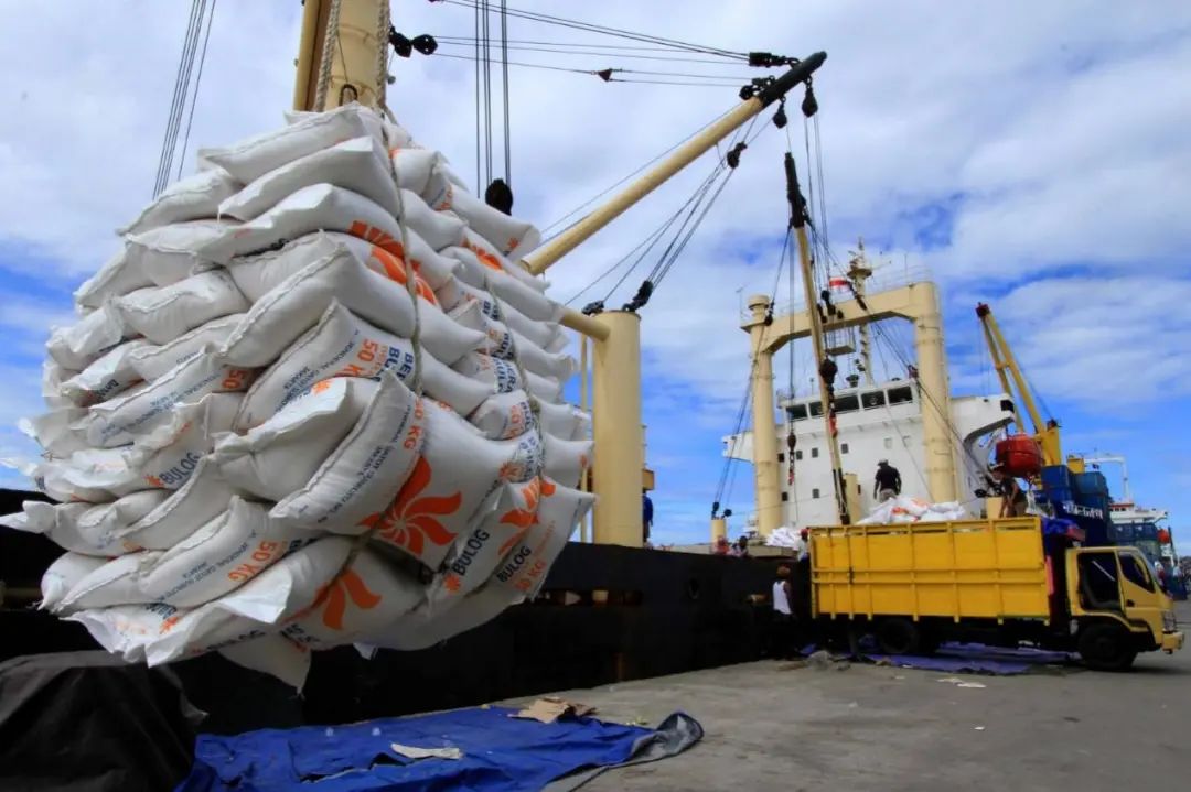 叫停越南900万吨订单背后：中国为什么还需要进口大米？