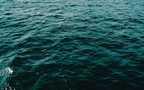 6名船员尸沉大海！36年前浙江舟山特大杀人案细节批露