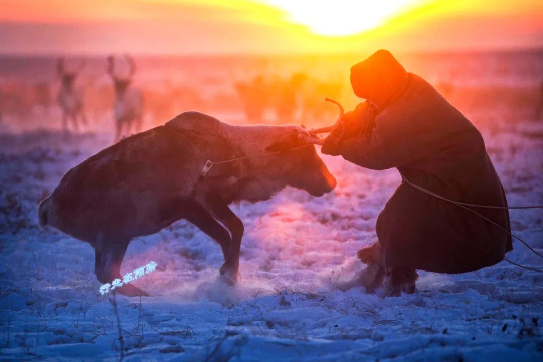 西伯利亚土著：颠沛流离三百年，不知何处是家乡