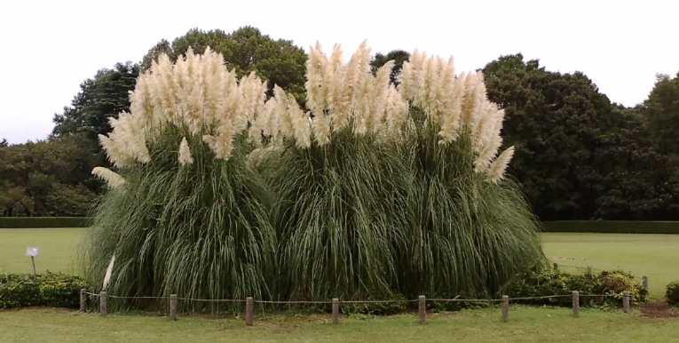 今天，最让人痛心的结果出来了
