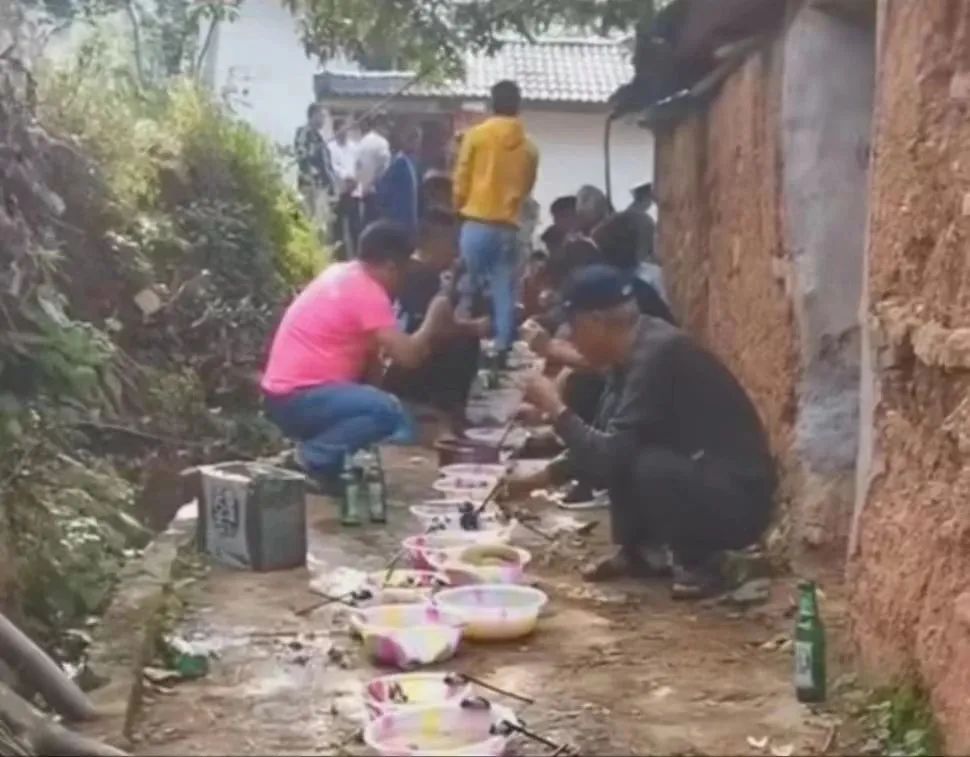 地狱难度的大凉山扶贫，第三阶段攻坚战的任务是教吃饭