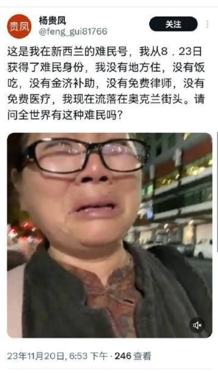 殖人无钱住宿，竟说中国使馆远程控制新西兰酒店