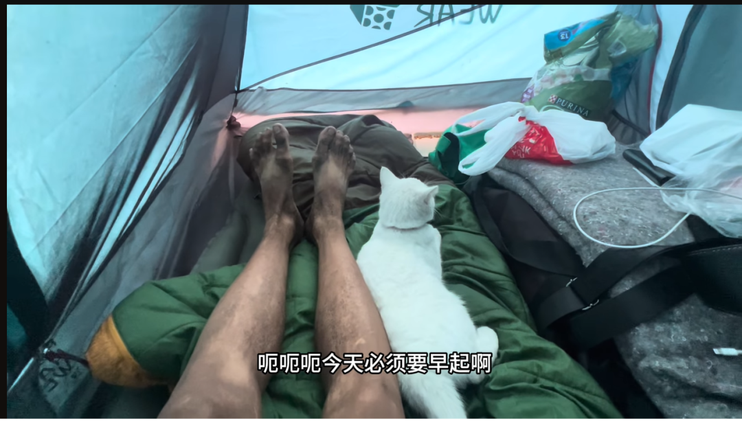 “丁胖子金牌讲师”被举报掉了？“圣诞要饭特辑”鸽了……