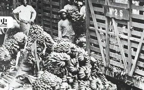 香蕉还有共和国？这个水果公司你听说过吗？