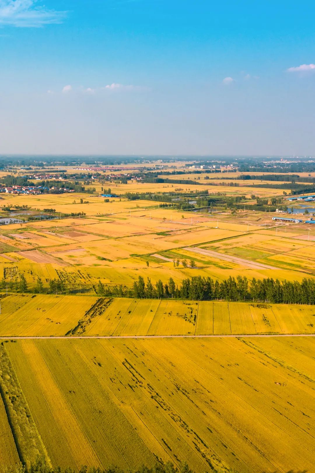 山东的“宇宙中心”之城，为什么一股河南味！