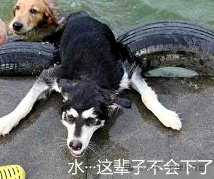 是谁想拉伊朗下水？