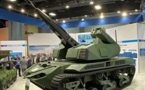 不止美国抓着兔子的尾巴过河，德国也想