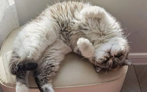 告别2023，回顾以及总结