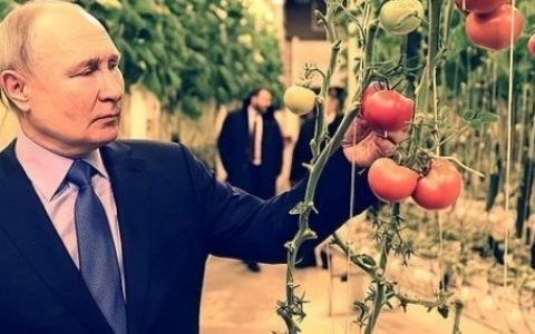 大帝到美帝家门口，搞了一个重磅官宣