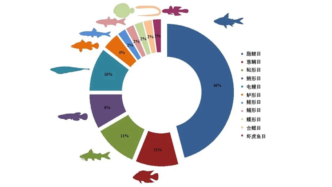谁说沙漠里没有鱼？这里就有！鱼甚至还会爬行去找水