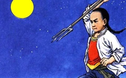 新年第一锅鸡汤