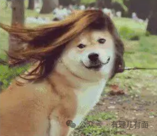 是谁想拉伊朗下水？