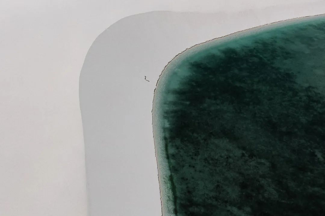 谁说沙漠里没有鱼？这里就有！鱼甚至还会爬行去找水