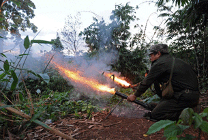 缅北这个“亲美势力”，令中、印同时警惕