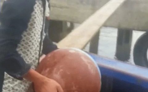 外国间谍，都是如何渗透进国内的