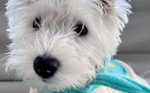 如果看透了市场的本质，你会比我还乐观