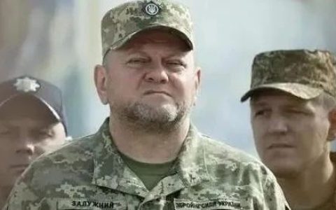 乌军总司令为什么被解雇？