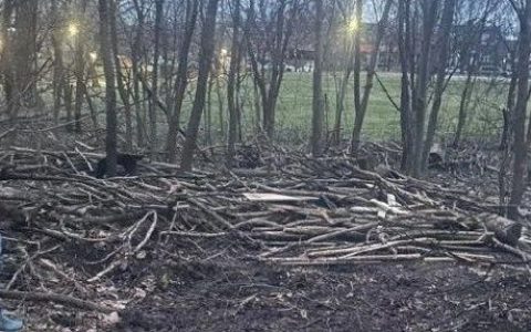 衰落的帝国：茅屋为民主所破歌