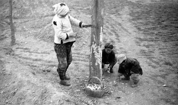 最近，80年前致命阴谋，正在崩解！