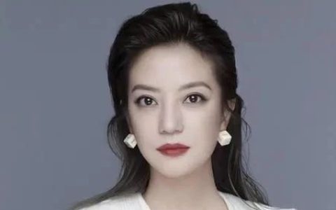 这才是小燕子“复出”的真相
