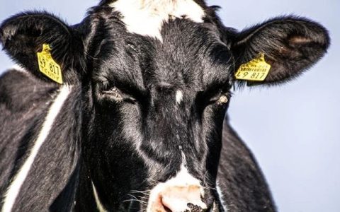 大宗商品的超级牛市