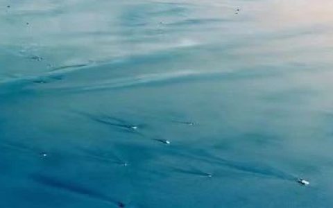 我们的命运、希望和前方的路