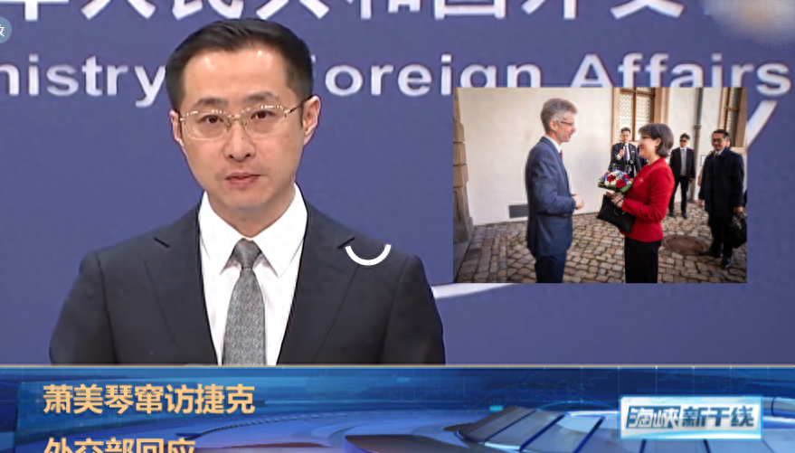 萧美琴窜美窜欧，如果再不统一，台湾将被美国间谍控制