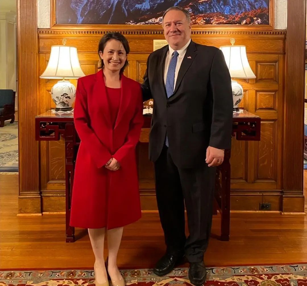 萧美琴窜美窜欧，如果再不统一，台湾将被美国间谍控制