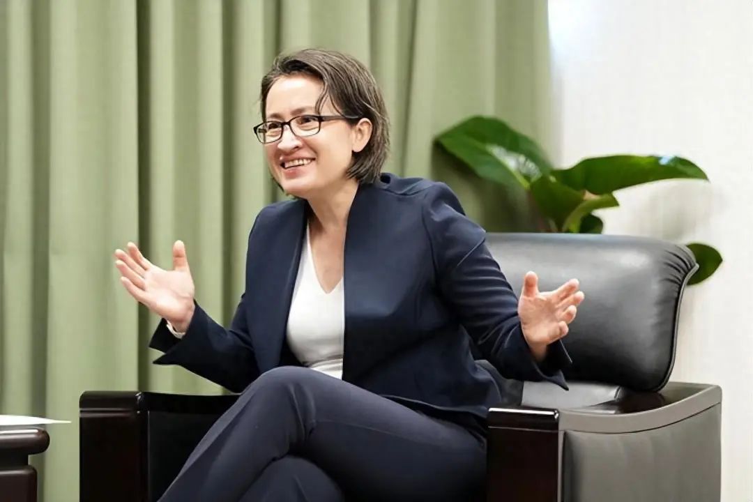 萧美琴窜美窜欧，如果再不统一，台湾将被美国间谍控制