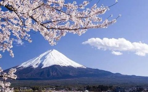 刚刚，百年密谋，又一次暴露了