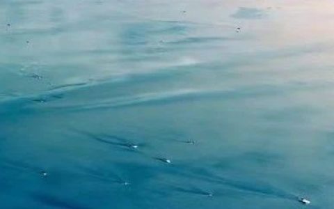 这个局，背后一定有高人指点