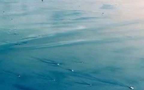 杀再多的人，也改变不了什么